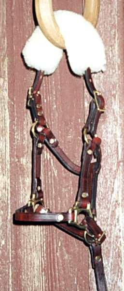 Foal Halter