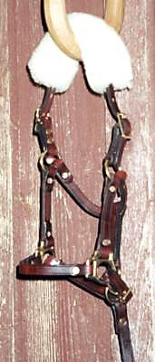 Foal Halter - with that extra touch