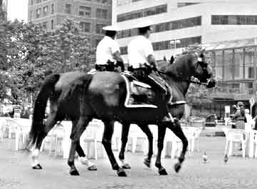 Two patrol horses carry their men in downtown Cincinnati, at the famous Fountain Square