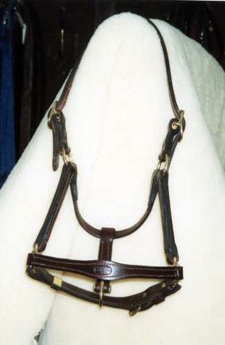 Fancy Foal Halter