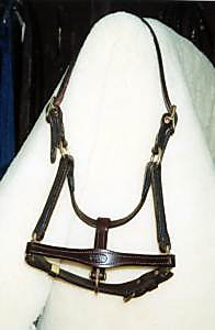 Dressy Foal Halter W/Tapered Noseband